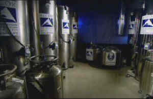 Cryonic Storage Facility